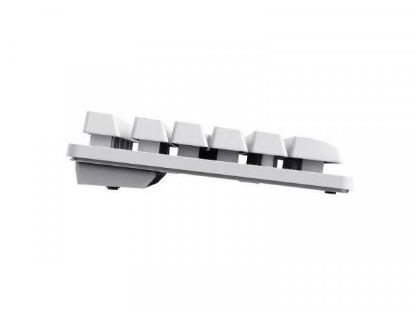 TRUST Tastatura GXT 831 Thado Wireless TKL set US bela