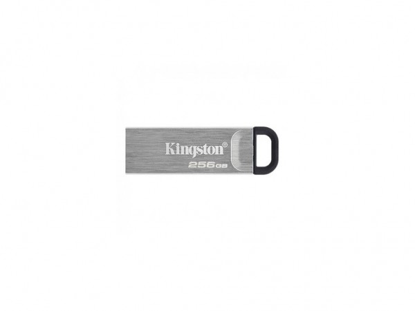 Kingston 265GB DT USB 3.2 Kyson DTKN256GB srebrni