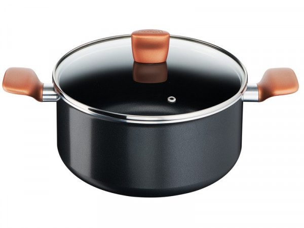 TEFAL Lonac Express sa poklopcem 24 cm - B2554602