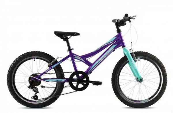 CAPRIOLO Bicikl Diavolo 200 20''/6HT ljubičasto-tirkiz 11.5'' (920293-11)