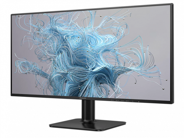 PHILIPS Monitor 24E2N111000 23,8 inch IPS 1920x1080 120Hz 1ms MPRTVGA,HDMI VESA crna