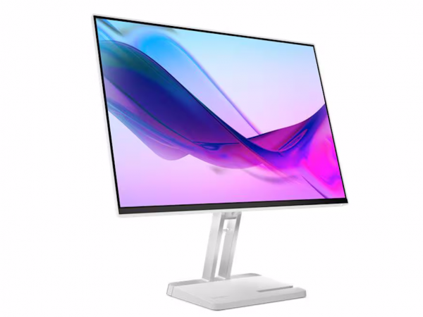 LENOVO Monitor L24i-4B 23.8 inch IPS 1920x1080 100Hz 4ms 1x HDMI, 1x VGA Vesa siva