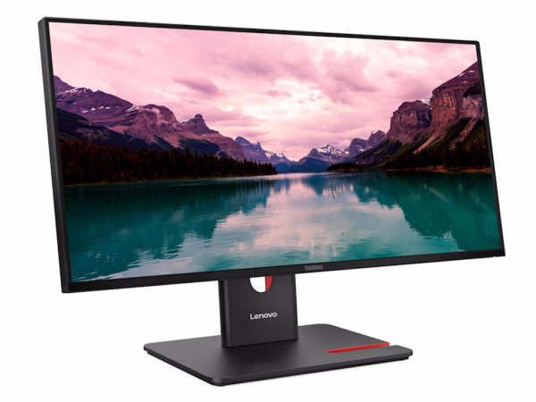 LENOVO Monitor ThinkVision T24-40 23.8 inch IPS 1920x1080 120Hz 4ms HDMI,DP,VGA 4xUSB, xUSB-C tilt,swive