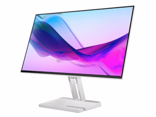 LENOVO Monitor L24i-4A