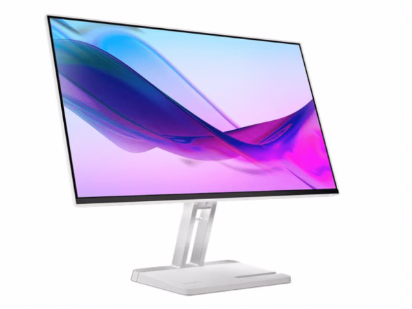 LENOVO Monitor L24i-4A