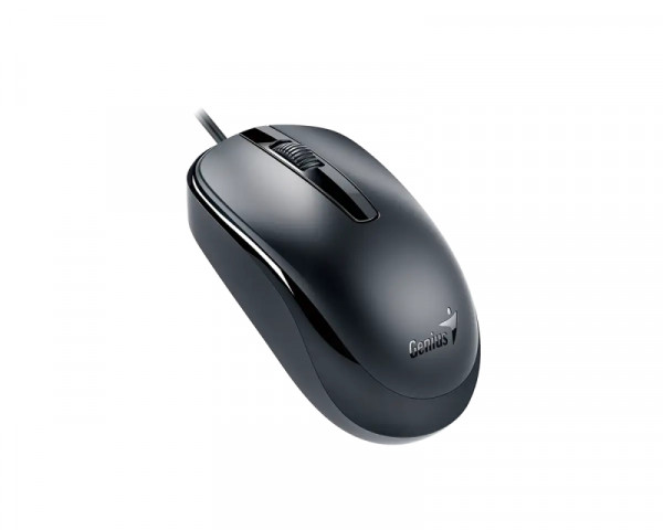 GENIUS DX-120 USB Optical crni miš