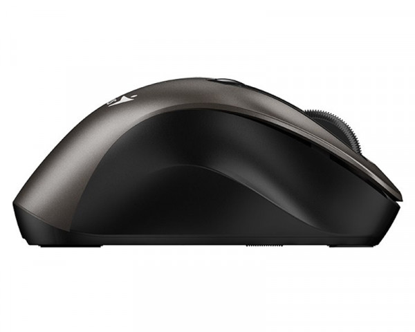 GENIUS Ergo 9000S Champagne titanium USB Bežični miš