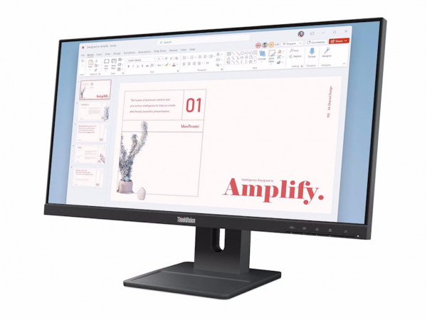 LENOVO Monitor ThinkVision E24-40 23.8 inch IPS 1920x1080 100Hz 4ms 1xHDMI,DP,VGA Swivel,Pivot,Height cr