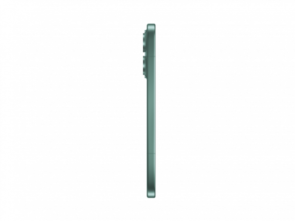 XIAOMI Smartphone 17 12GB/512GB zelena