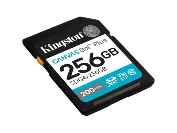 KINGSTON MEMORIJSKA KARTICA SDG4 256GB