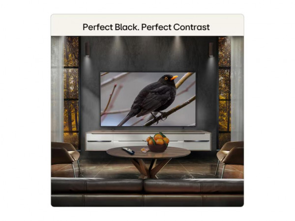 LG Televizor OLED65B6ELC OLED 65 inch 4K UHD smart webOS 24 crna