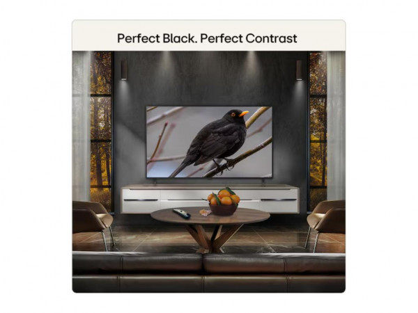 LG Televizor OLED55B6ELC