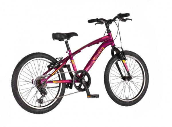 VENSSINI Bicikl arcadia 20 inch bordo roze