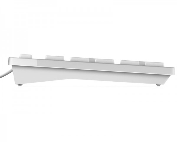 DELL Multimedia KB216 USB US bela